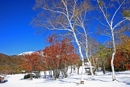 雪の大山　その弐_e0190885_2048723.jpg