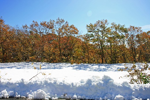 雪の大山　その弐_e0190885_20493557.jpg