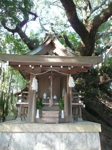 神戸市須磨区多井畑の猿田彦神社のウバメガシ_b0118987_6204952.jpg