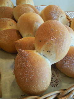 大地のめぐみ_a0134394_10201264.jpg