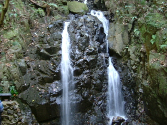 b0044296_101619.jpg