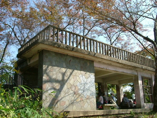 b0044296_1073545.jpg