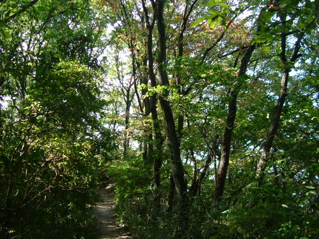 b0044296_9485111.jpg