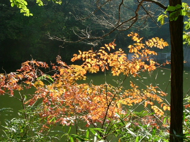 b0044296_9501418.jpg