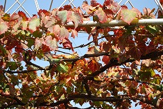 c0124100_18191826.jpg