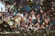 c0124100_18224599.jpg
