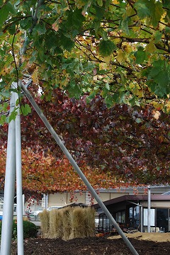 c0124100_18301181.jpg