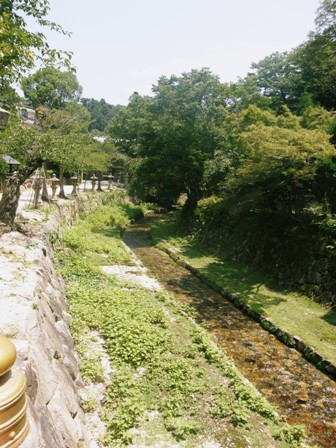 f0036603_149575.jpg
