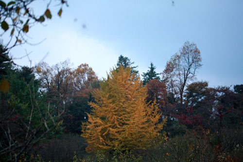 夕暮れ時の辻村植物公園で貸し切りぉ散歩_c0011204_21203945.jpg