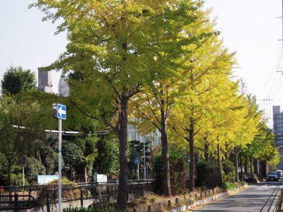 d0018704_2252567.jpg