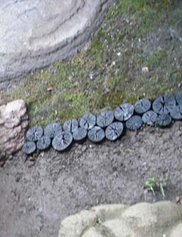 e0008704_23154449.jpg