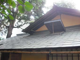 e0008704_2355388.jpg