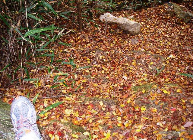 09.11.10(火) ホテル紅葉_a0062810_2124423.jpg