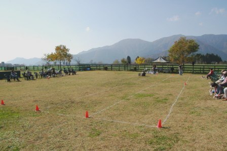 e0078510_20434471.jpg