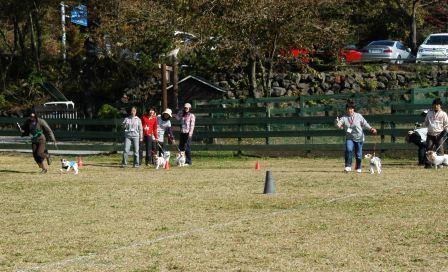 e0078510_2120690.jpg