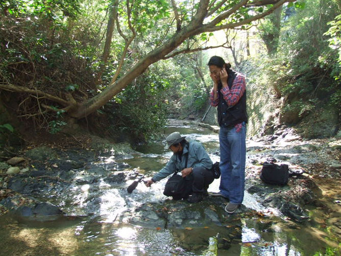 音採集の旅_f0201310_17473281.jpg