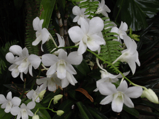 b0176111_22122239.gif