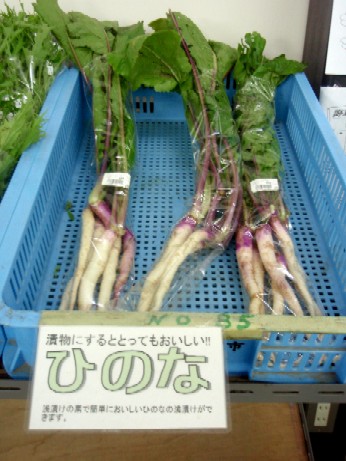 ピンクの野菜のお漬物 ひの菜と赤カブ 楽子の小さなことが楽しい毎日