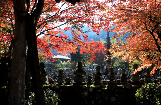 あだし野 念仏寺_e0048413_193995.jpg