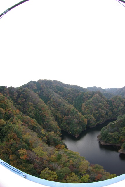 e0111217_2345556.jpg