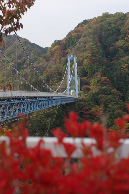 e0111217_23525195.jpg