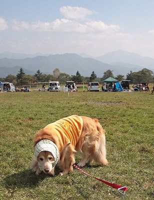 c0216518_0163744.jpg