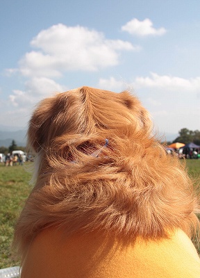 c0216518_0171644.jpg