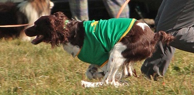 c0216518_0225518.jpg