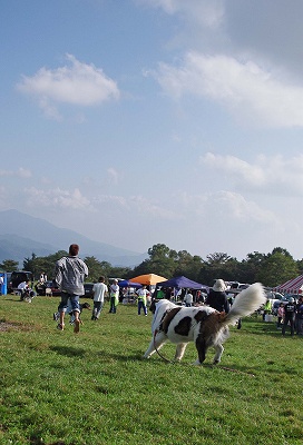 c0216518_0244583.jpg