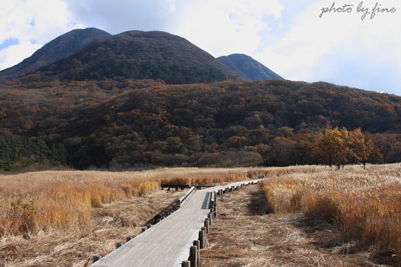 九重散策～タデ原湿原～_f0197319_1396100.jpg