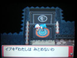 ポケットモンスターハートゴールドプレイ日記 フスベジム戦 つきねこの日記
