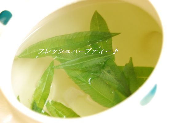 スマスマごっこ!オーダー何でも受け付けま~す!(笑)_d0104926_651479.jpg