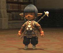 【ＦＦＸＩ】バージョンアップと勝負服_b0023831_1842536.jpg