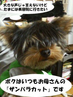 f0008935_23225931.gif