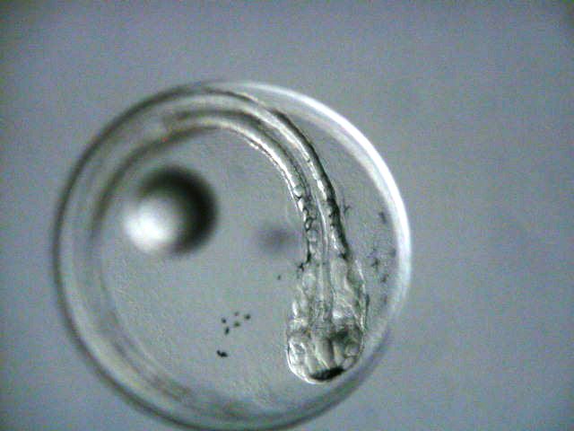 c0106036_22281583.jpg