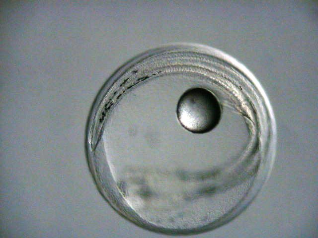 c0106036_2228402.jpg