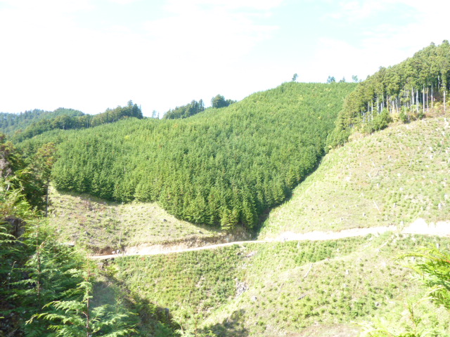e0160538_1665233.jpg