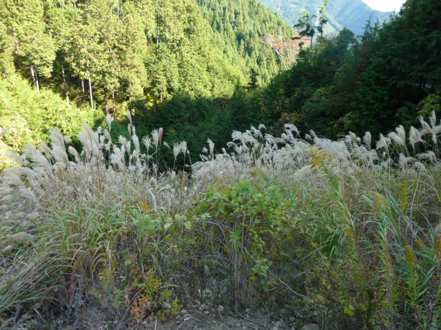 e0160538_168088.jpg