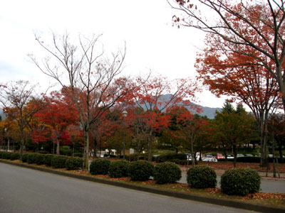 d0132439_9422276.jpg
