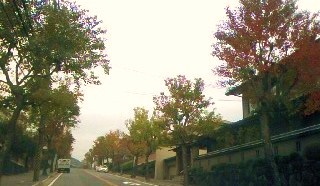 a0116442_12281011.jpg