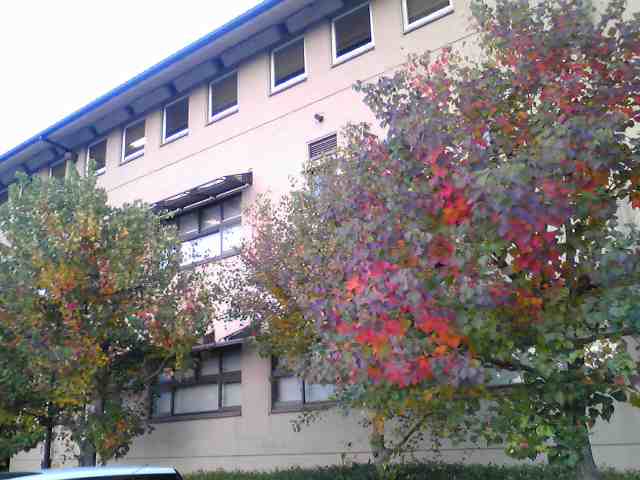 a0125343_11325313.jpg