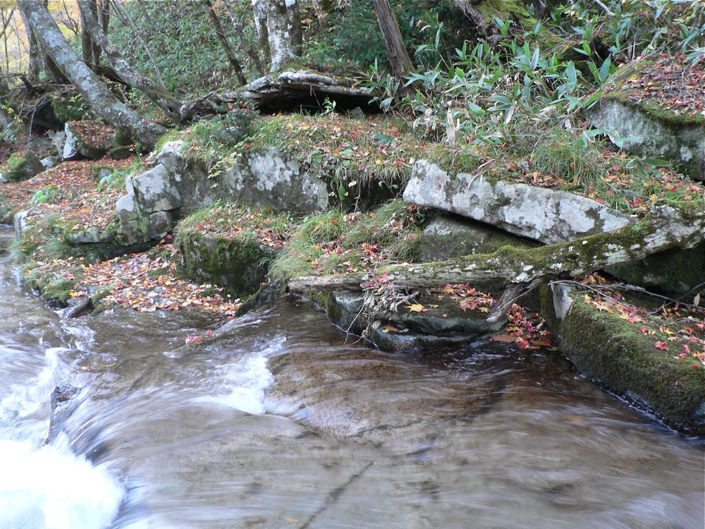 湧き水と滝と_d0001843_1035571.jpg