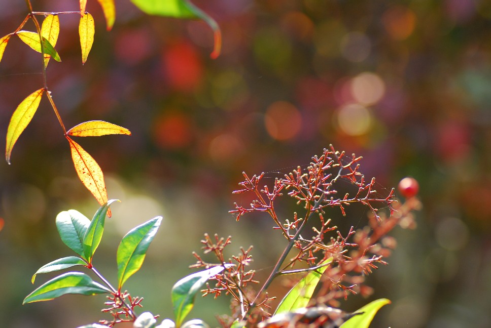 e0009147_20111733.jpg