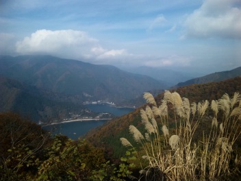 e0069647_8172113.jpg