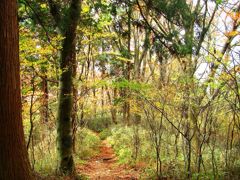 カトラ谷から紅葉の金剛山_a0122149_22105156.jpg