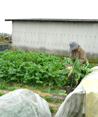 Zの社会見学〜お野菜のふるさと探訪〜_a0017350_23501750.jpg