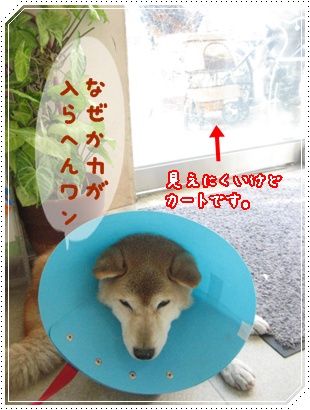 反省_c0049950_23485616.jpg