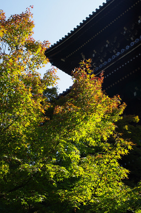 2009紅葉 Ⅱ　真如堂～吉田山～哲学の道_f0152550_224050100.jpg