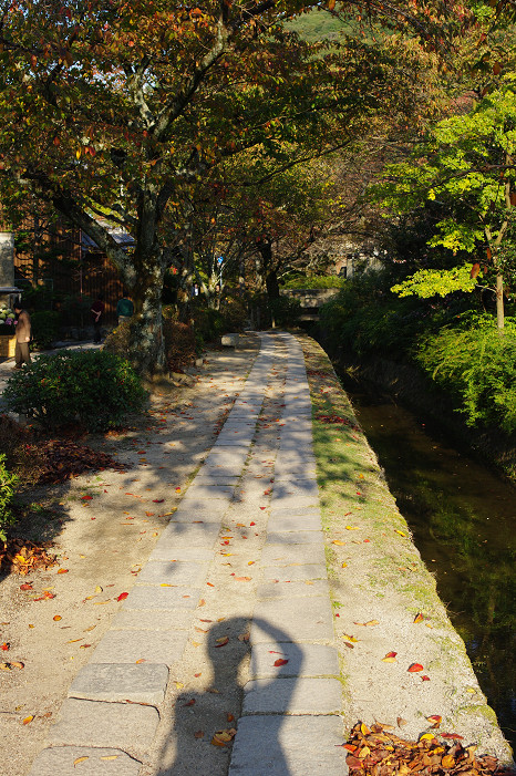 2009紅葉 Ⅱ　真如堂～吉田山～哲学の道_f0152550_22432566.jpg