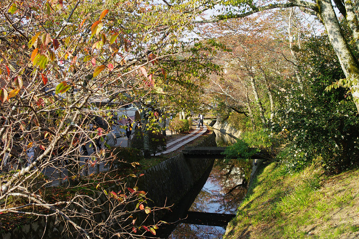 2009紅葉 Ⅱ　真如堂～吉田山～哲学の道_f0152550_2243460.jpg